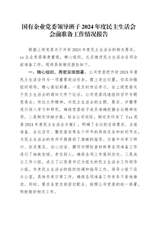 国有企业党委领导班子2024年度民主生活会会前准备工作情况报告（公司汇报总结）20250305