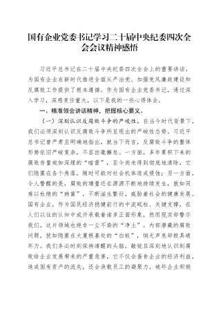 国有企业党委书记学习二十届中央纪委四次全会会议精神感悟