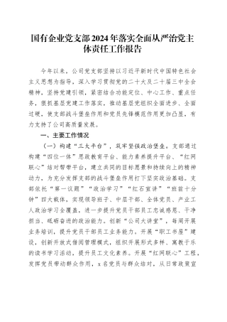 国有企业党支部2024年落实全面从严治党主体责任工作报告20241120