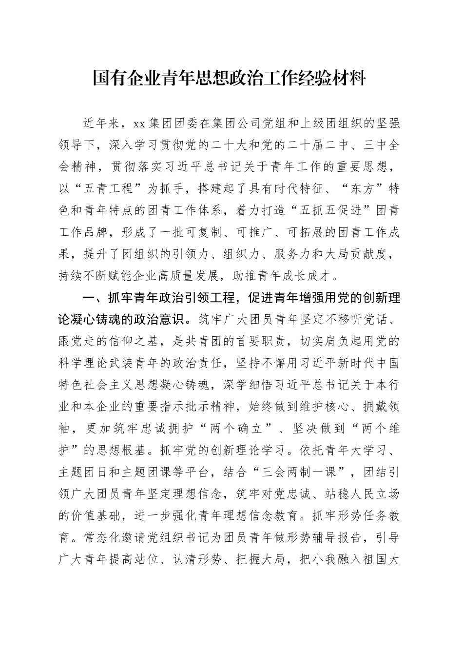 国有企业青年思想政治工作经验材料公司总结汇报报告20250101_第1页