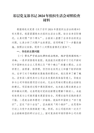 基层党支部书记2024年组织生活会对照检查材料