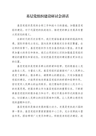 基层党组织建设研讨会讲话20241115