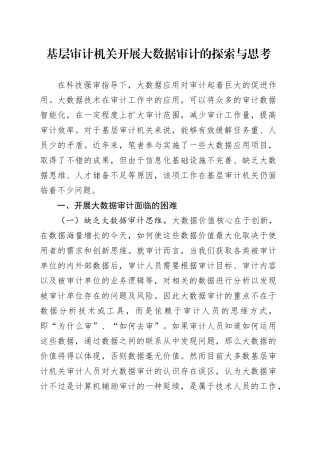 基层审计机关开展大数据审计的探索与思考