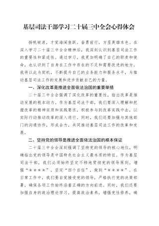 基层司法干部学习二十届三中全会心得体会