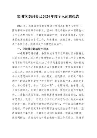 集团党委副书记2024年度个人述职报告