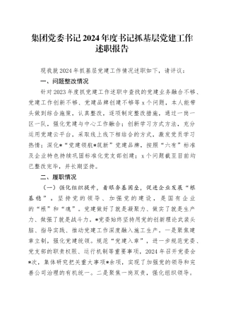集团党委书记2024年度书记抓基层党建工作述职报告