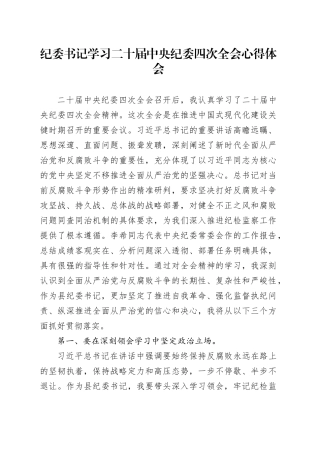 纪委书记学习二十届中央纪委四次全会心得体会