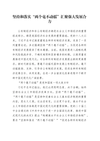 坚持和落实“两个毫不动摇”汇聚强大发展合力