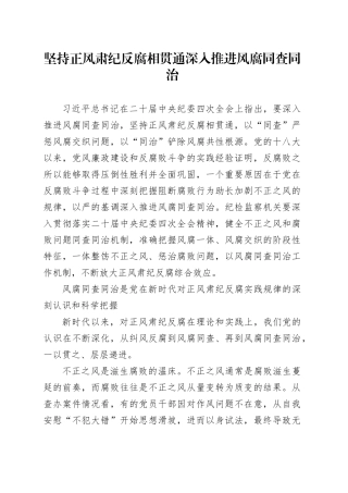 坚持正风肃纪反腐相贯通深入推进风腐同查同治