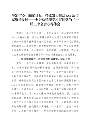 坚定信心、瞄定目标、持续发力推动X公司高质量发展——央企总经理学习贯彻党的二十届三中全会心得体会