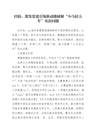 经验：激发党建引领新动能 破解“小马拉大车”突出问题