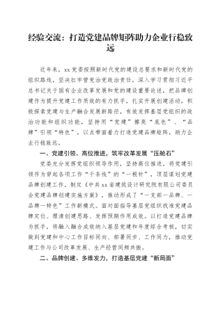 经验交流：打造党建品牌矩阵 助力企业行稳致远