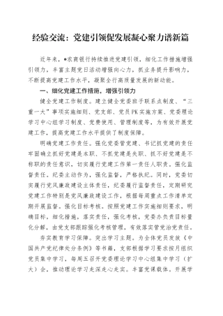 经验交流：党建引领促发展 凝心聚力谱新篇