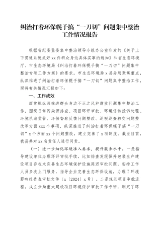 纠治打着环保幌子搞“一刀切”问题集中整治工作情况报告