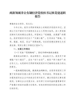 两新领域非公有制经济党组织书记抓党建述职报告