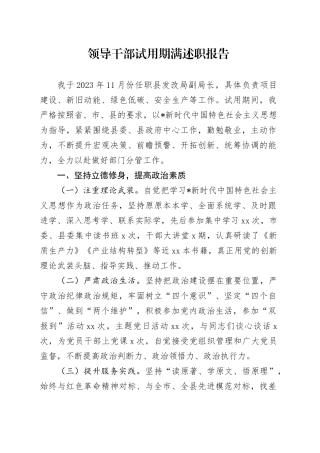 领导干部试用期满述职报告（1900字发改）