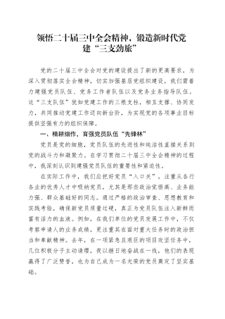 领悟二十届三中全会精神，锻造新时代党建“三支劲旅”