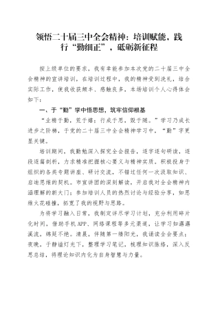 领悟二十届三中全会精神：培训赋能，践行“勤细正”，砥砺新征程