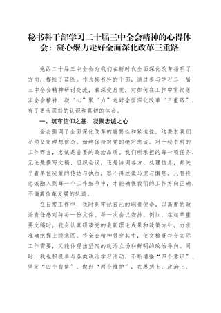 秘书科干部学习二十届三中全会精神的心得体会：凝心聚力走好全面深化改革三重路