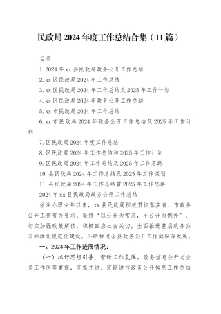 民政局2024年度工作总结合集（11篇）