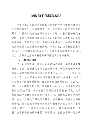 民政局工作情况总结