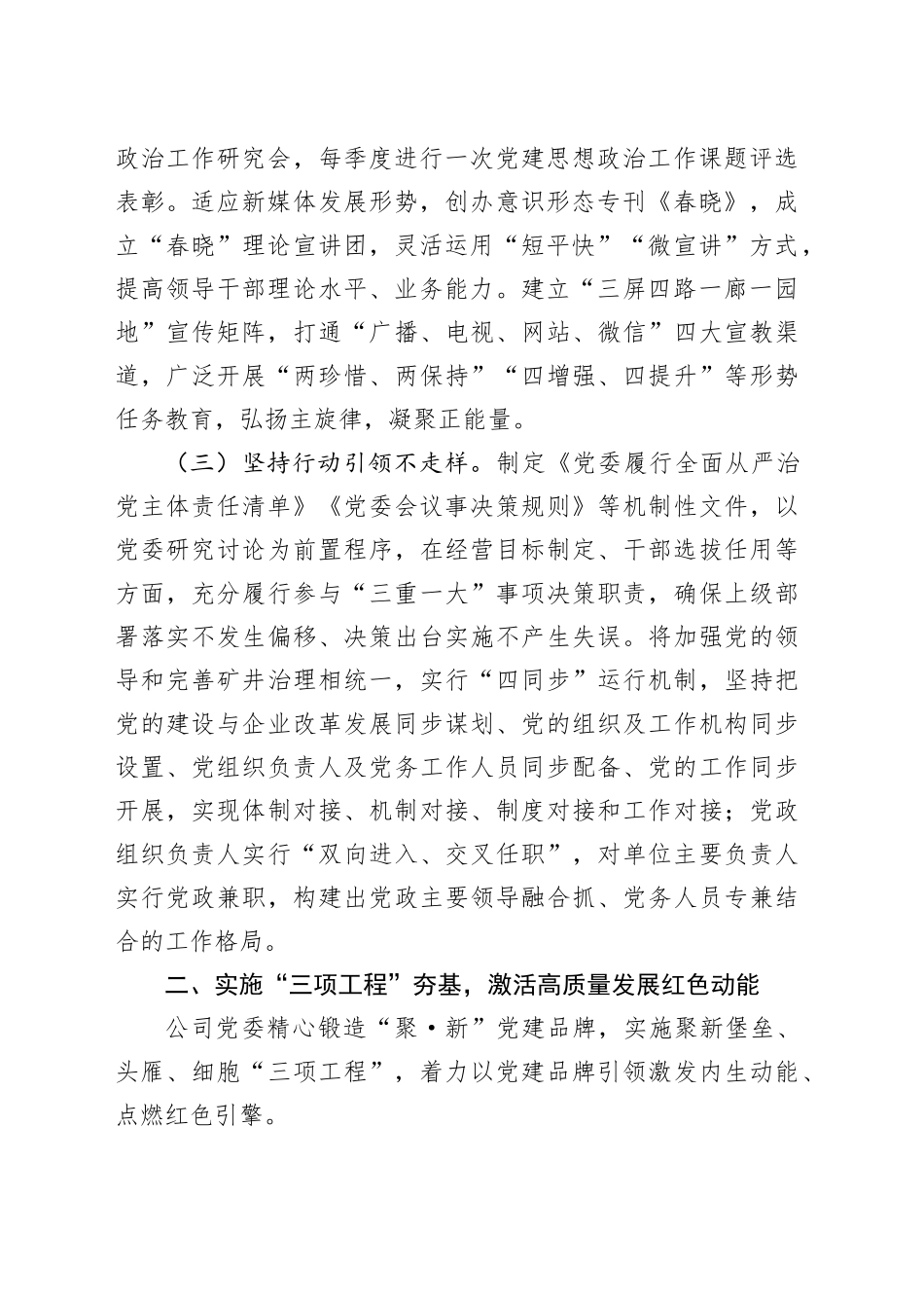 某国企党委2024年抓基层党建工作述职报告_第2页