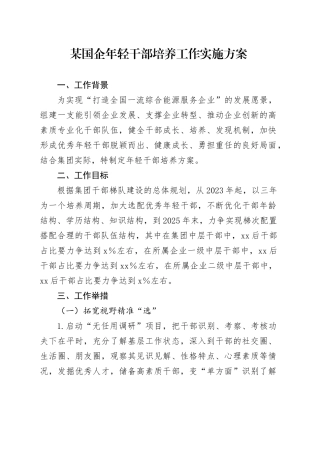 某国企年轻干部培养工作实施方案