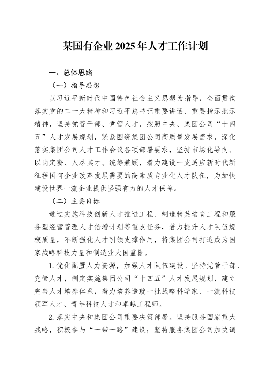某国有企业2025年人才工作计划_第1页