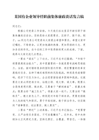某国有企业领导任职前集体廉政谈话发言稿