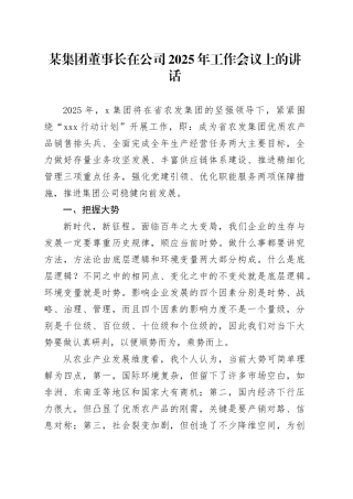 某集团董事长在公司2025年工作会议上的讲话