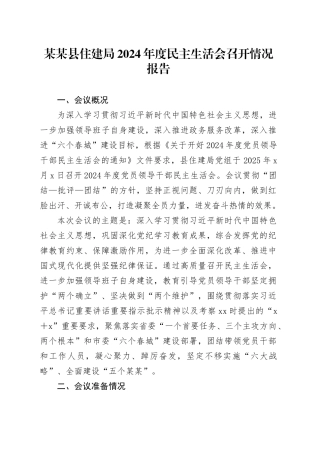 某某县住建局2024年度民主生活会召开情况报告