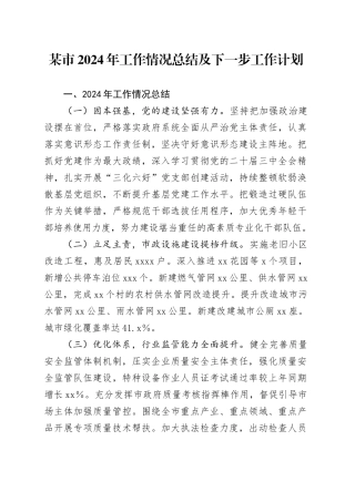 某市2024年工作情况总结及下一步工作计划