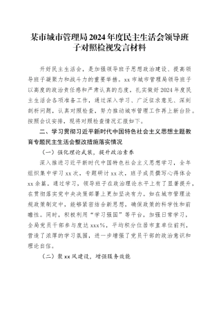 某市城市管理局2024年度民主生活会领导班子对照检视发言材料