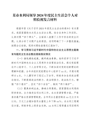 某市水利局领导2024年度民主生活会个人对照检视发言材料