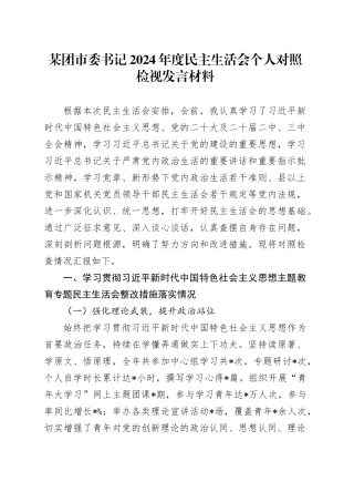 某团市委书记2024年度民主生活会个人对照检视发言材料