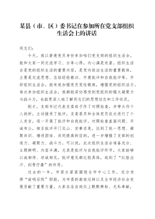 某县（市、区）委书记在参加所在党支部组织生活会上的讲话
