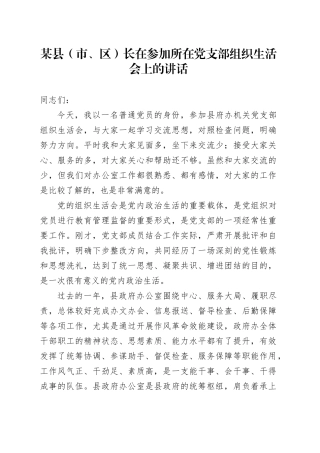 某县（市、区）长在参加所在党支部组织生活会上的讲话