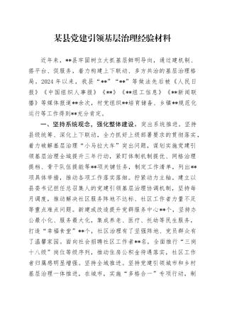 某县党建引领基层治理经验材料
