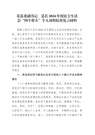 某县委副书记、县长2024年度民主生活会“四个带头”个人对照检查发言材料