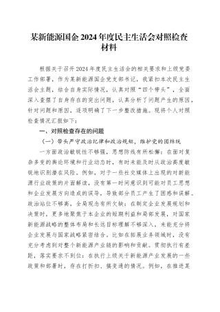 某新能源国企2024年度民主生活会对照检查材料