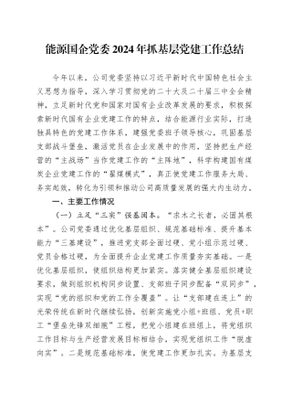 能源国企党委2024年抓基层党建工作总结