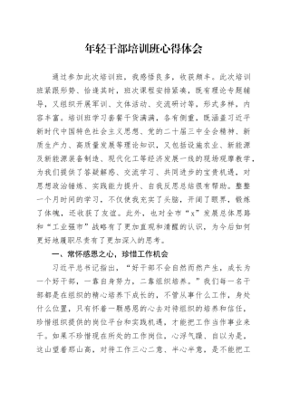 年轻干部培训班心得体会青年发言材料20241207