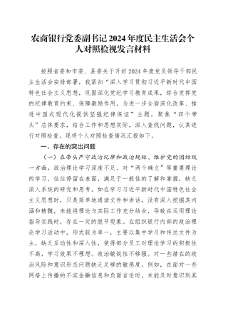 农商银行党委副书记2024年度民主生活会个人对照检视发言材料（四个带头+典型案例剖析）
