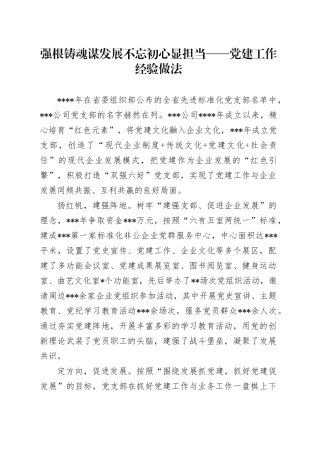 强根铸魂谋发展 不忘初心显担当——党建工作经验做法