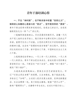 青年干部培训心得