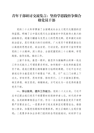 青年干部研讨交流发言：坚持学思践悟争做合格党员干部