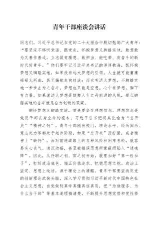 青年干部座谈会讲话20241120
