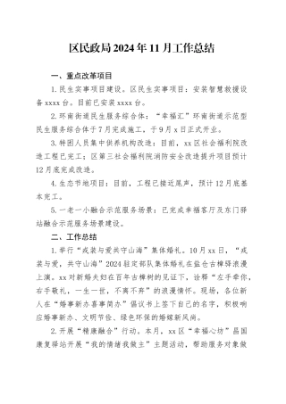 区民政局2024年11月工作总结
