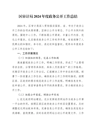 区审计局2024年度政务公开工作总结(1)