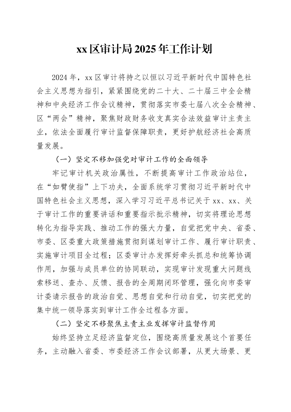 区审计局2025年工作计划_第1页